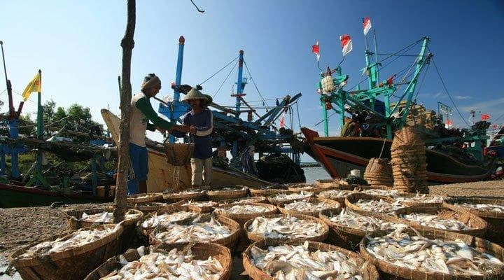 Direct coastal sourcing