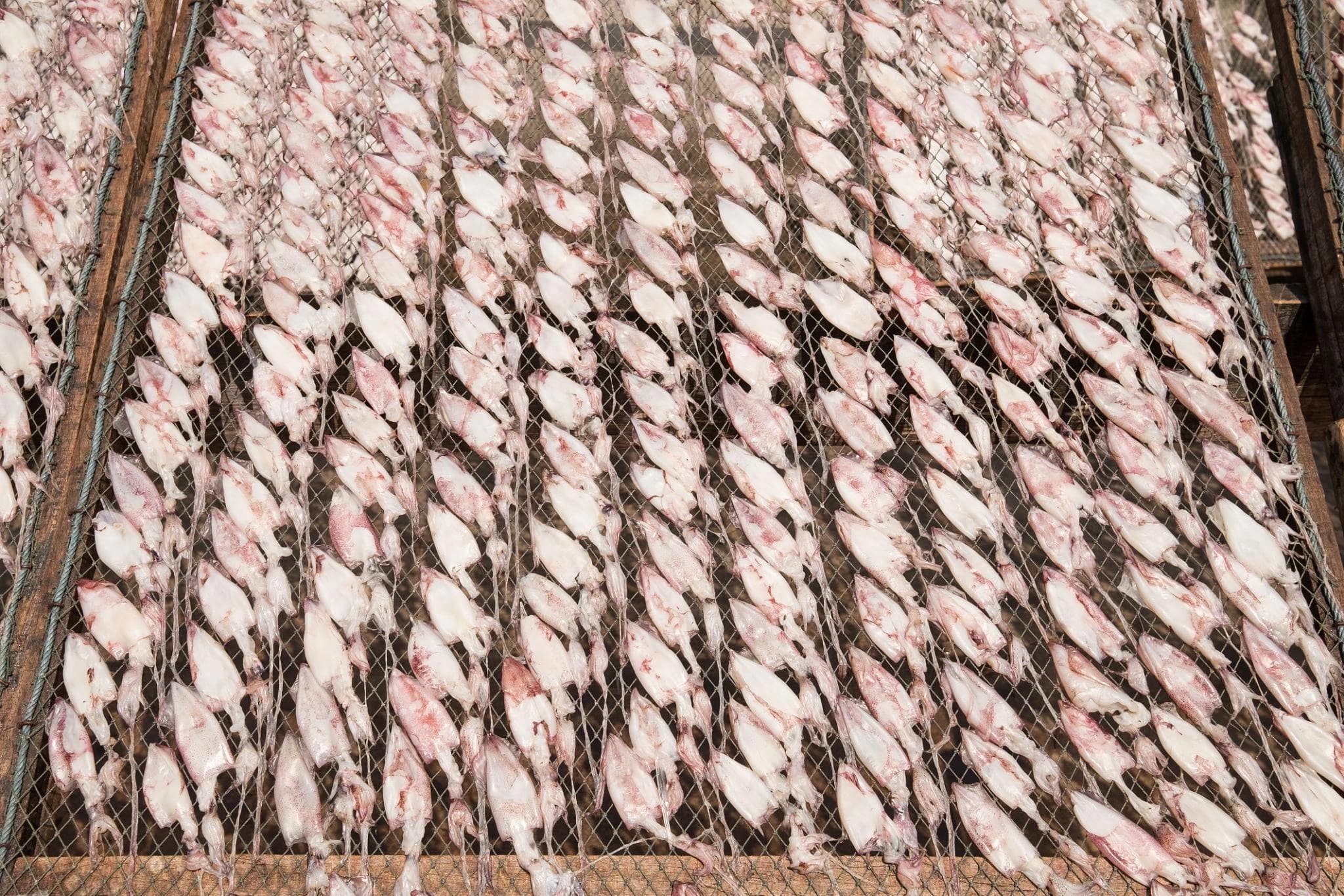 Natural Sun Drying