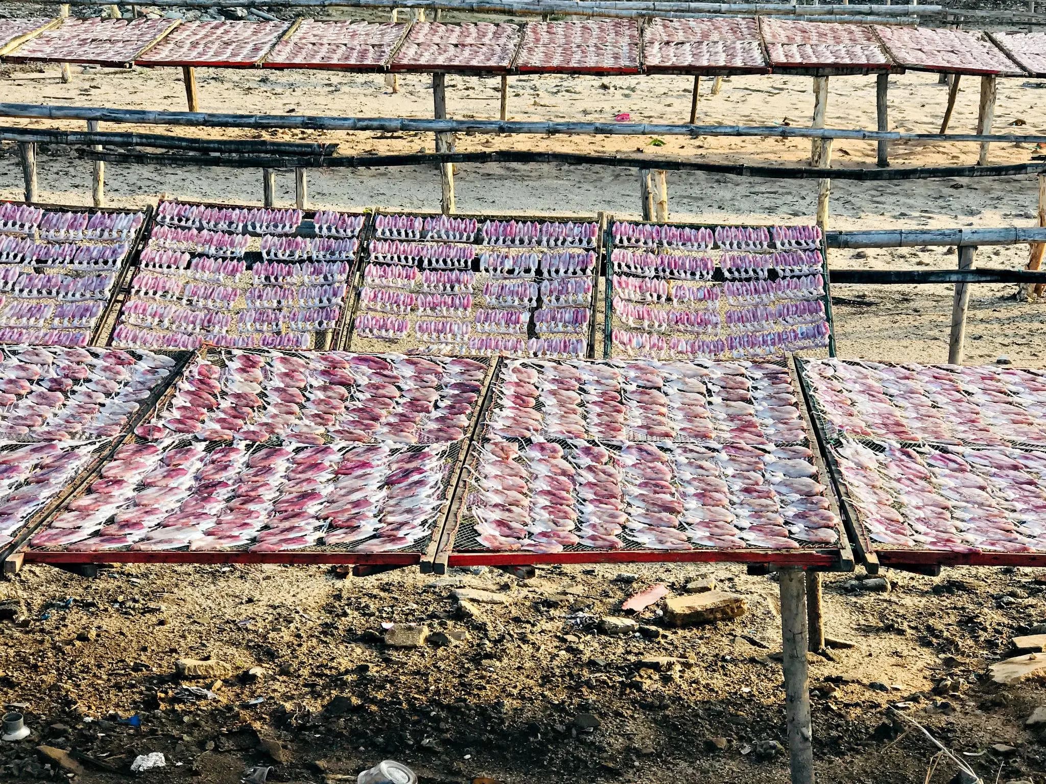 Hygienic drying process