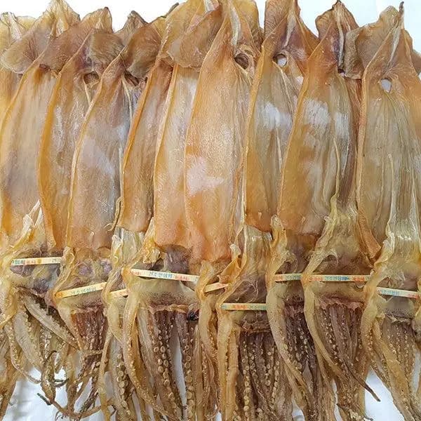 Good quality squid with minor visual variations. Suitable for bulk supply and cost-effective distribution.